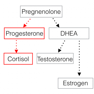 Stress and the Pregnenolone Steal - pcossymptoms